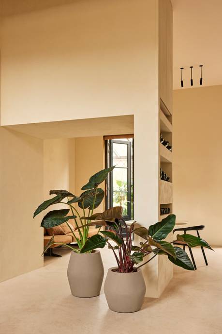 june split low 46cm balanced beige